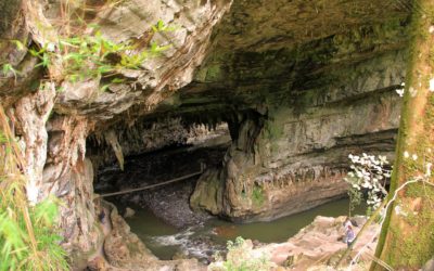 Cueva de los indios